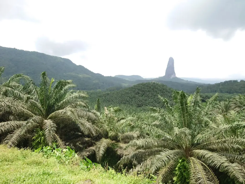 Tour Marco do Equador